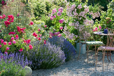  Lushū Herb Garden – En Doftande Oas för Kropp och Själ!